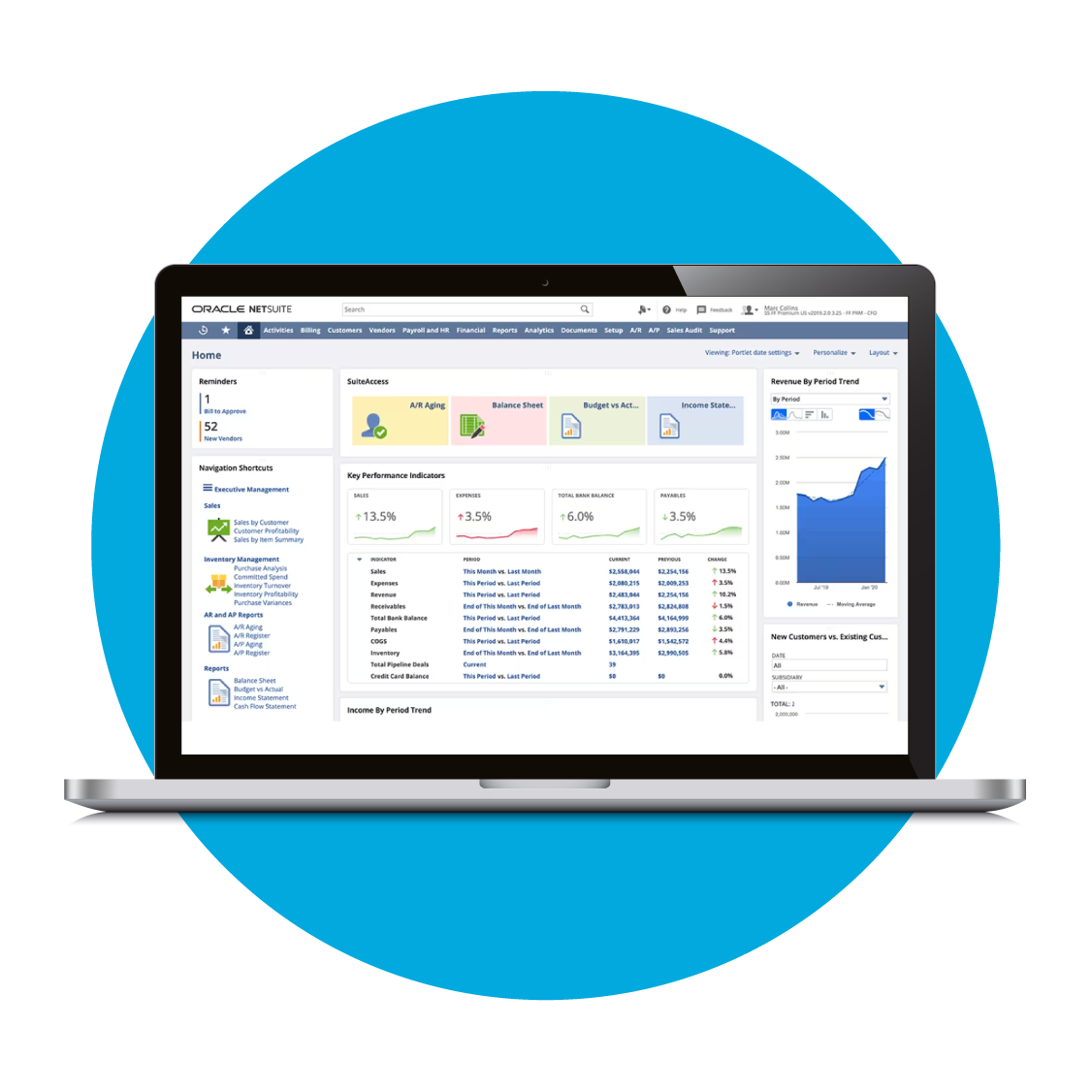 SAP Vs NetSuite | AccountingPro By Mustard Seed Systems